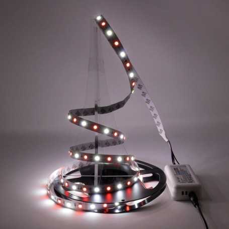 Ruban LED RGB+W avec un blanc froid 12V 60LED/m 2m50