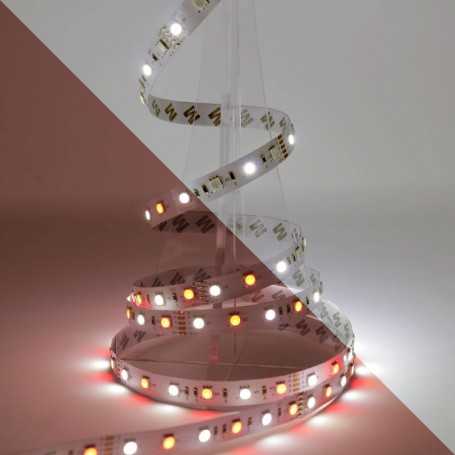 Kit ruban LED RGB+W à piles 60LED/m 5m avec contrôleur RF multizone
