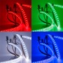 Kit ruban LED RGB 120LED/m IP65 5m multizone 220V