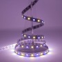 Bande LED RGB+WW avec un blanc chaud 12V 60LED/m IP20 5m