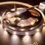 Ruban LED RGB+CCT 5m multicolore et blanc variable 12V