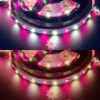 Ruban LED RGB+CCT 5m multicolore et blanc variable 12V