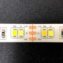 Ruban LED CCT blanc variable 12V 120LED/m 2m50