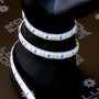 Kit bande LED CCT blanc variable 120LED/m 2en1 étanche 2m50 contrôleur RF avec batterie 1800mAh