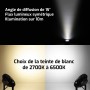 Spot LED de jardin connecté étanche RGB+CCT 15W 220V Mi-Light (MiBOXER)