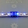 Ruban LED allumé avec le raccord CCT rapide non-étanche