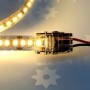  Ruban LED allumé avec le raccord rapide haute densité