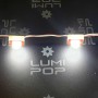 Module 1 LED de 0,36W blanc froid 6500K étanche 12V vendu à l'unité