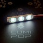 Chainette de 20 modules 3 LED de 0,72W blanc froid 6500K étanche 12V