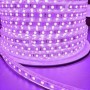 Ruban LED à cahngement de couleur 220V violet