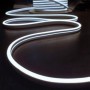 Néon LED Silicone 24V blanc froid