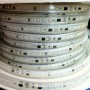 Ruban LED 220V direct blanc froid 120LED/m. Vendu par 10cm