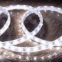 Ruban LED 220V extérieur blanc froid de 10m