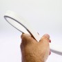 Néon LED flexible 3m blanc froid 12V slim étanche