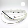 Néon LED flexible 1m blanc avec alimentation 220V étanche