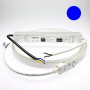 Néon LED flexible 1m bleu avec alimentation 220V étanche