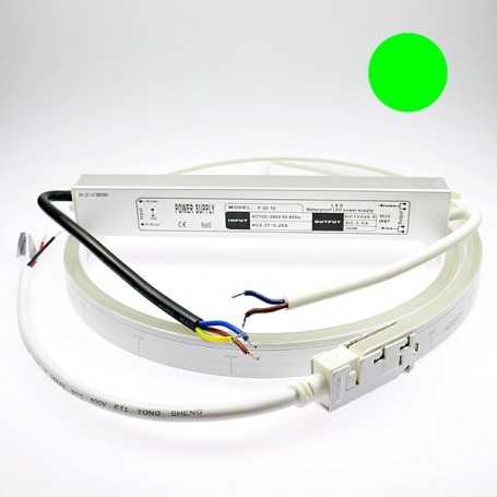 Néon LED flexible 2m vert avec alimentation 220V étanche