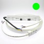 Néon LED flexible 10m vert avec alimentation 220V étanche