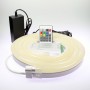 Kit néon LED bulbe RGB 5m contrôleur RF 220V