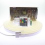 Kit néon LED bulbe RGB 10m contrôleur RF 220V