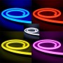 Kit néon LED bulbe RGB DMX 5m contrôleur 3 canaux 220V