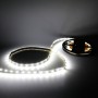Bande LED blanche 60LED/m IP20 2m50