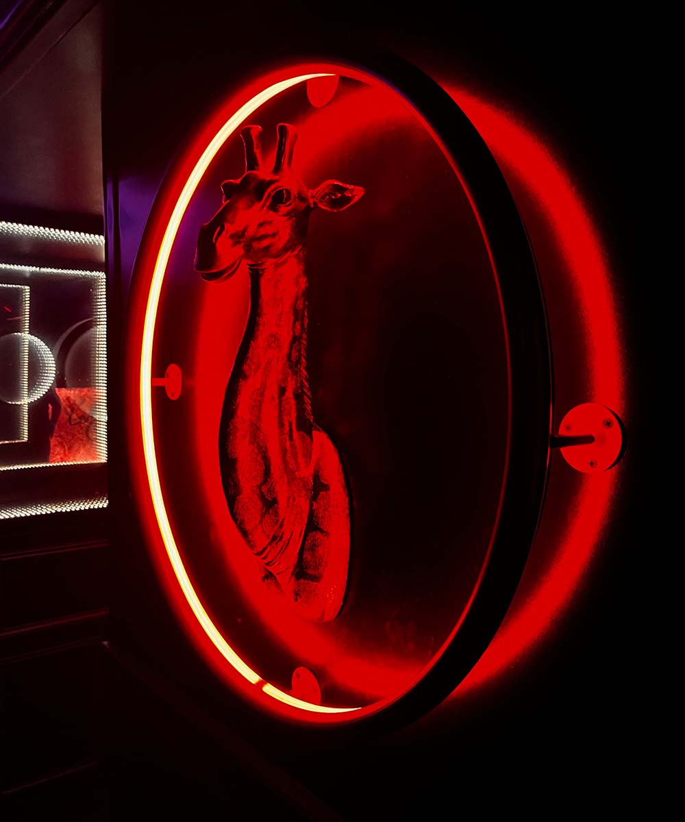 Quand une girafe devient une oeuvre lumineuse grâce au néon LED